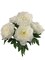 20" White Peony Bush - 12-Pack with 5 Lifelike Silk Flowers & Realistic Foliage, Elegant Floral Decor for Arrangements & Events - All-Season Beauty, Floral Home by Artificial Flowers